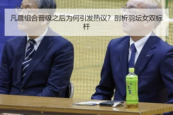 凡晨组合晋级之后为何引发热议？剖析羽坛女双标杆